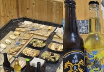 Cata de hidromiel y maridaje con quesos: experiencia única Barcelona