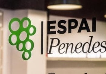 Cata de vinos y espumosos a ciegas con antifaz y quesos artesanos Barcelona