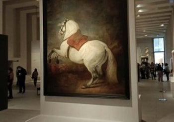 Visita guiada por la Galería de las Colecciones Reales en Madrid