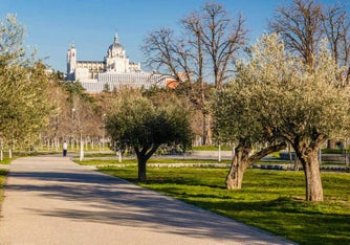 Free tour por la Casa de Campo Madrid