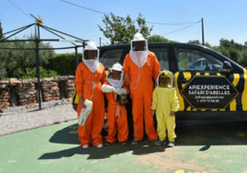 Safari de abejas guiado por un apicultor profesional Tarragona