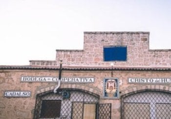Visita a la bodega, ruta a caballo y cata de 3 vinos con pinchos Cadalso de los Vidrios