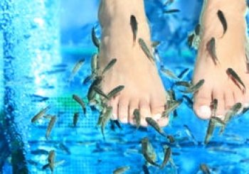 Pies suaves y relajados con el tratamiento Fish Spa en Alcorcón