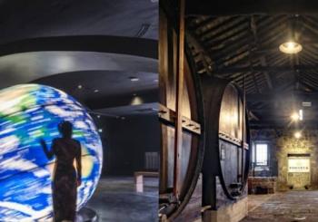 Fonseca Cellar & The Wine Experience: Tour + Degustação en Porto