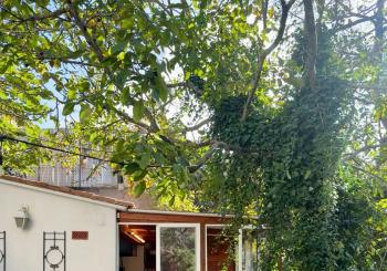 Grounding Through Yoga, Movement & Nature connection en Barcelona