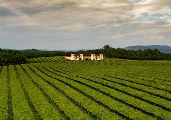 Bodega La Val en Pontevedra