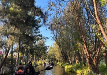 Experiencias Xochimilco - Amancer en kayak en Mexico City
