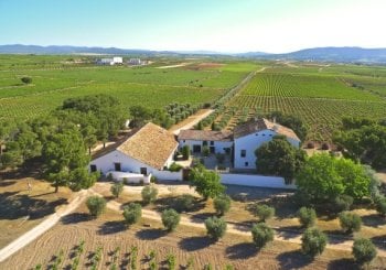 Visita Bodega y Cata de Vinos - Finca Hoya de Cadenas Las Cuevas