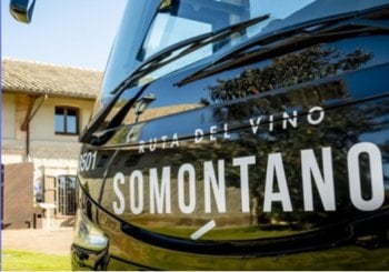 Bus del Vino Somontano - Raíces Zaragoza