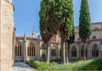 Visita a la Catedral de Ciudad Rodrigo en Salamanca