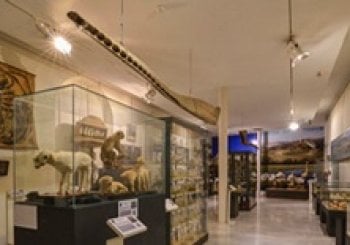 Museo Aguilar y Eslava CABRA