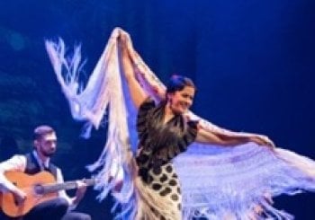 Show Flamenco en Madrid