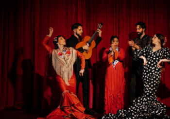 Flamenco en estado puro en Barcelona
