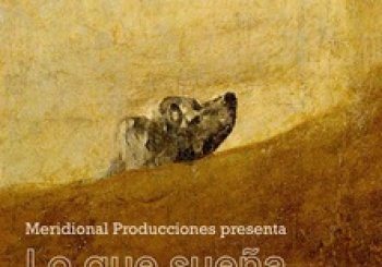 Lo que sueña un perro en Madrid