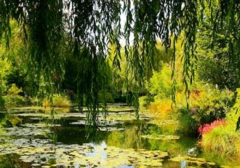 Jardins de Monet à Giverny : Visite guidée d'une demi-journée depuis Paris