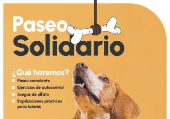 Paseo canino solidario a favor de Fundación Cudeca en Málaga