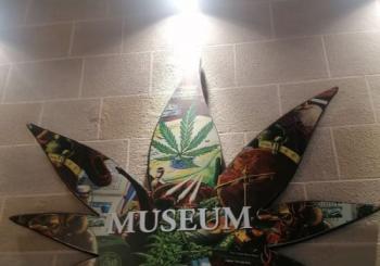 Hash Museum Barcelona: visita el museo dedicado al cannabis
