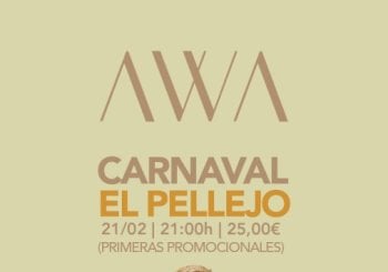 CARNAVAL en Málaga