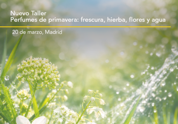 Taller presencial 