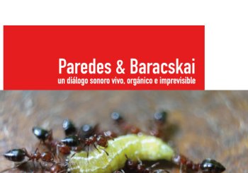 Paredes & Baracskai · Concierto en Santa Cruz de Tenerife