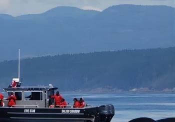 Ultimate Marine Whale & Wildlife Tour Victoria
