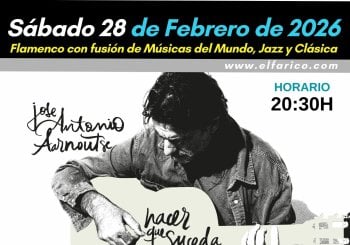 CONCIERTO DE ATONIO AARNOUTSE : HACER QUE SUCEDA Alicante/Alacant