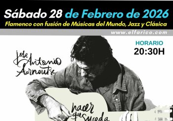 CONCIERTO DE ANTONIO AARNOUTSE : HACER QUE SUCEDA Alicante/Alacant