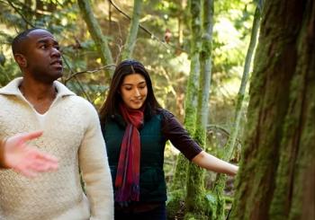 Vancouver Secrets of Stanley Park Walking Tour