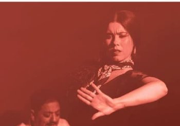 Flamenco Persa 