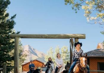 Valley Vista 1.5 Hour Horseback Trail Ride in Kananaskis Calgary