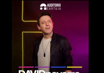 No Tengo Remedio - David Navarro en Sevilla