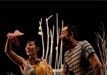 "Grillos y luciérnagas" La Machina Teatro LOGROÑO, LA RIOJA
