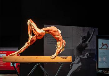 BODY WORLDS: The Anatomy of Happiness Melbourne