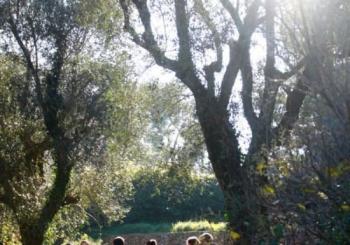 El arte de parar: un sábado entero en la sierra en Madrid