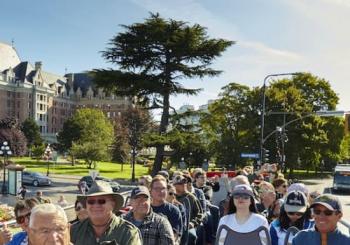 Victoria Half-Day Hop-on Hop-off Sightseeing Tour