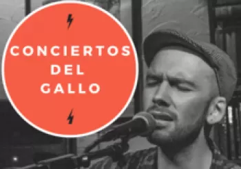 Concierto del Gallo: Renny Jackson. En Sevilla