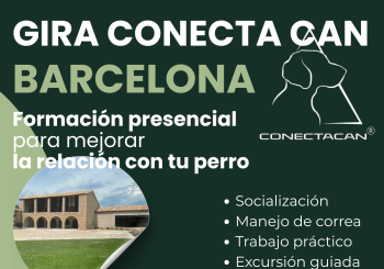 BARCELONA SÁBADO TARDE