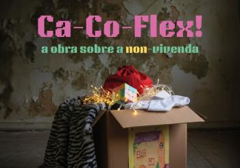 Ca-Co-Flex! A obra sobre a non-vivenda en Santiago de Compostela