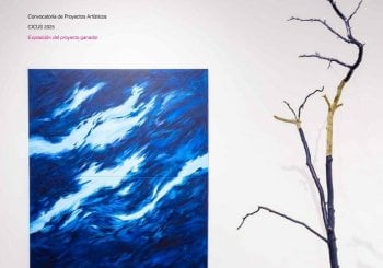 EXPOSICIÓN CELIA MORGADO. “PODRÍA HABER SIDO DE OTRO MODO” en Sevilla