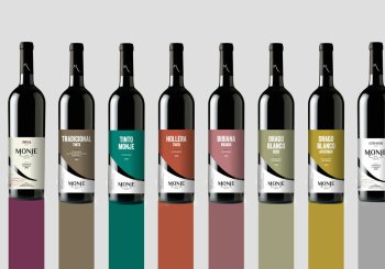 CATA DE VINOS: BODEGA MONJE en Santa Cruz de Tenerife