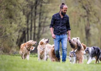 Sami El Ayachi - Der zugewandte Hund! en Duisburg
