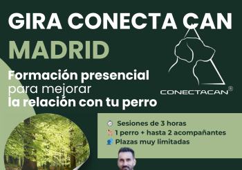 MADRID SABADO TARDE en Ávila