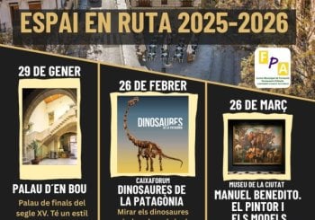 Curs FPA-