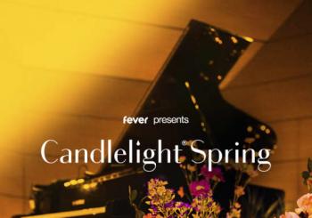 Candlelight : Hommage à Ludovico Einaudi Brussels
