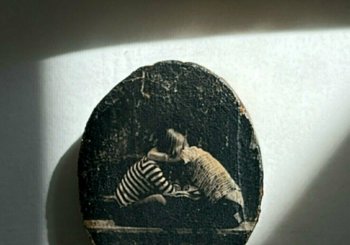 TALLER DE FOTOTRANSFER CON CAROLA ETCHE - 21 de marzo 2026 en Madrid