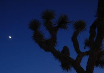 YES AND MAYBE - UK & EU Spring Tour 2026 en Köln