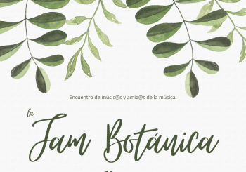 JAM BOTÁNICA Palmas, Las