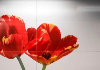 Visite guidée : L’Art dans le Métro Bruxellois en Brussels
