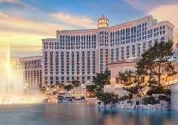 Warum Casino Boni Täglich Für Spieler Interessant Sind Alicante/Alacant