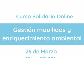 Gestión maullidos y enriquecimiento ambiental en Barcelona